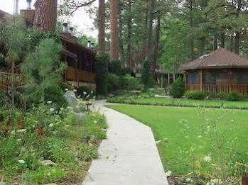 Chalet Shadow Mountain And Ruidoso